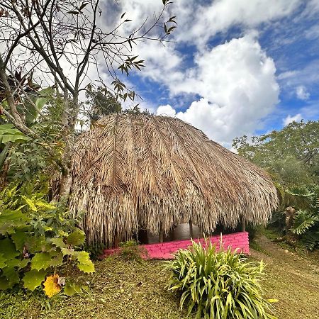 Sierra Alta Finca Boutique Villa Минка Екстериор снимка